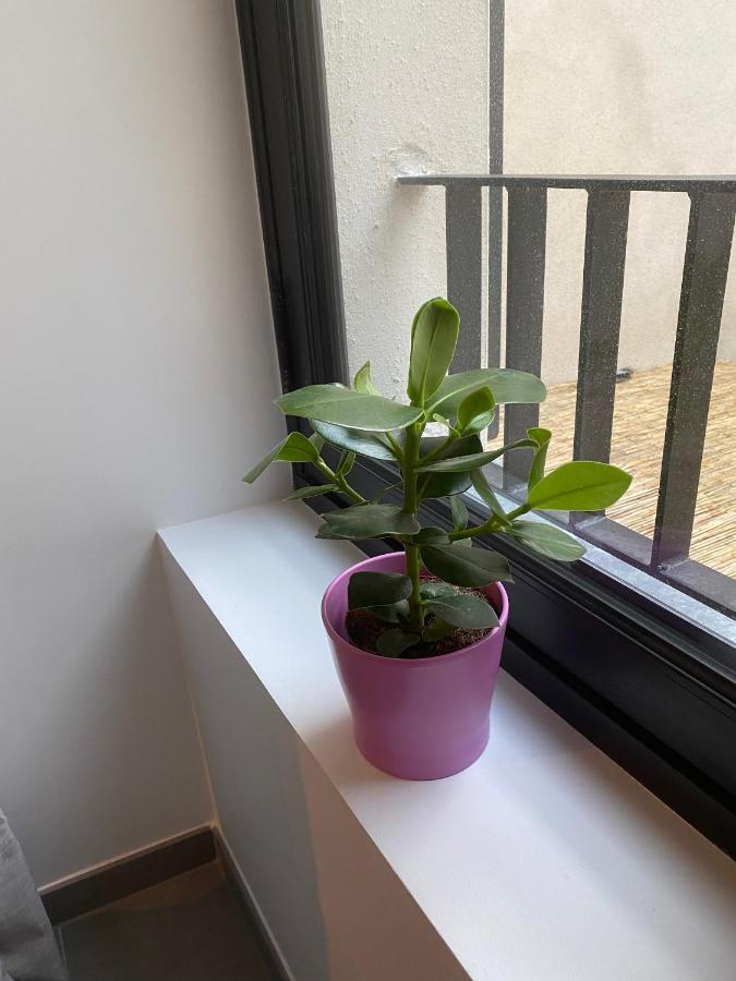 Joli Petit Nid Douillet En Centre Ville La Rochelle  Luaran gambar